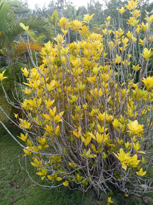 万宁海边的深海,万宁夜晚的海边