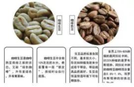 巴西风味咖啡豆黑,巴西有什么特色咖啡豆