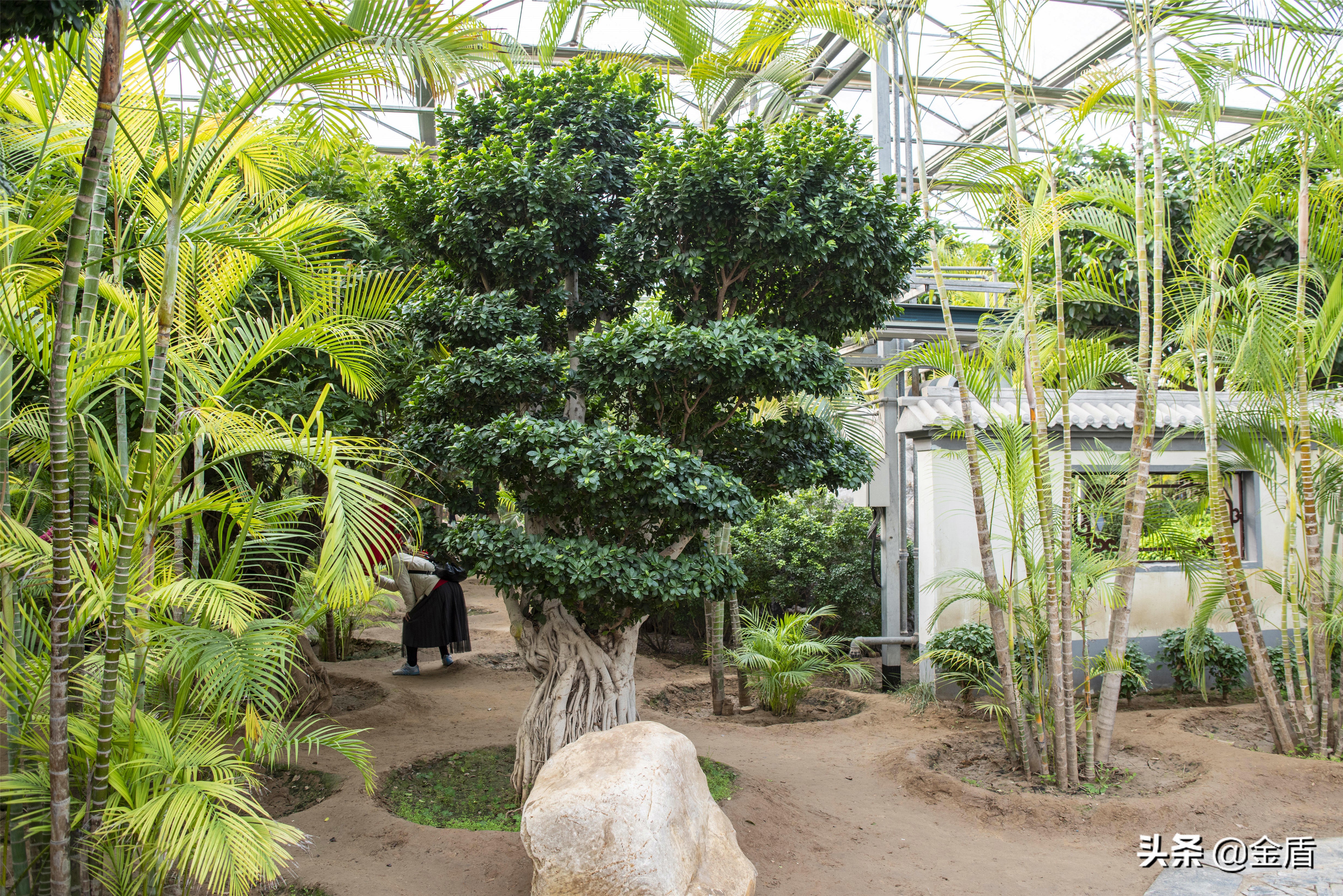 九天休闲谷游览攻略,九天休闲谷欢迎您游玩