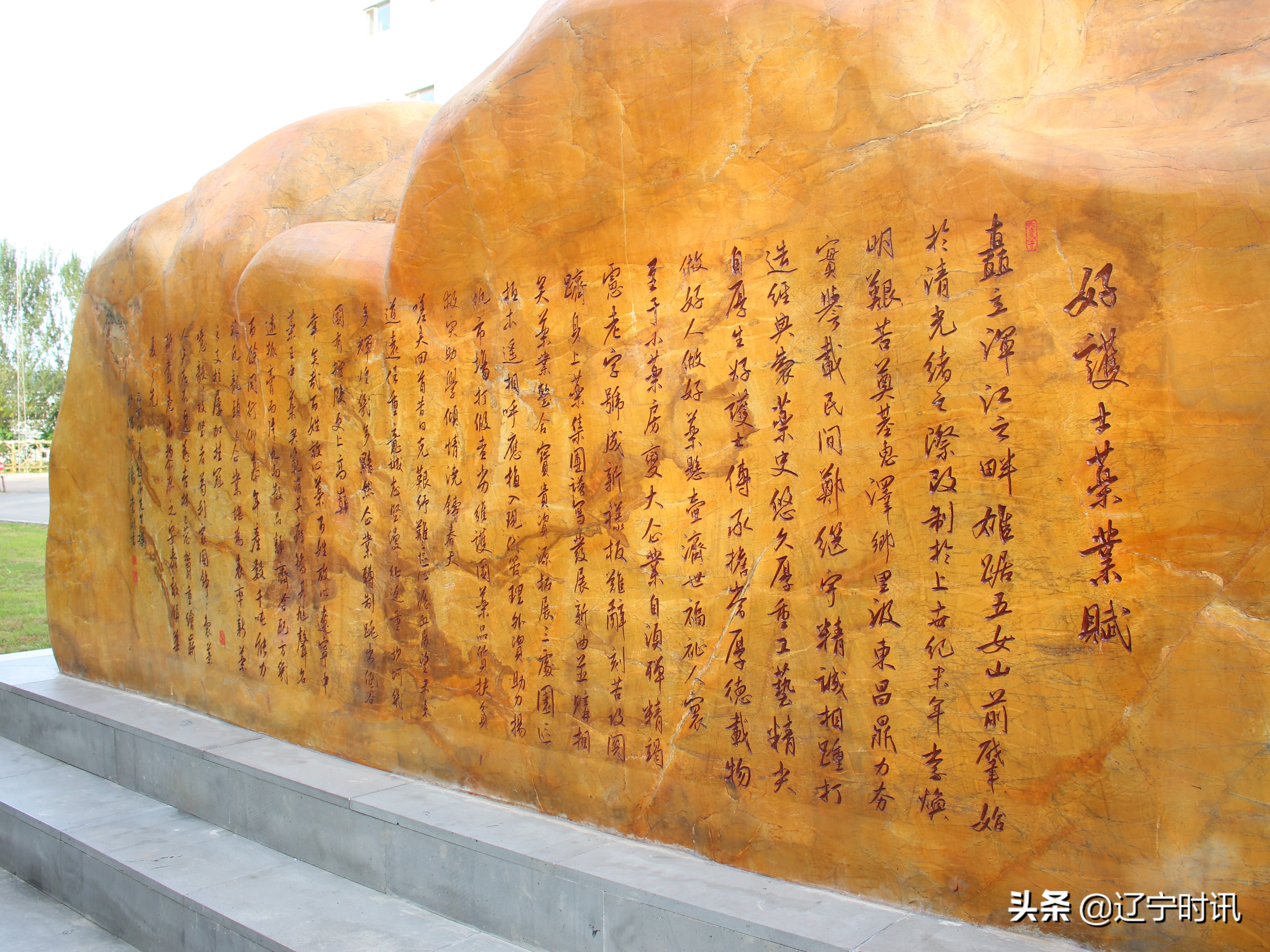 辽宁好护士药业集团图片,辽宁好护士药业