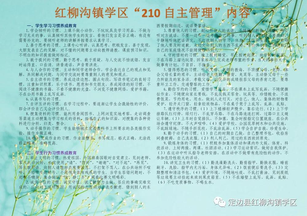 以爱育爱共筑梦想——定边县红柳沟镇学区发展纪实