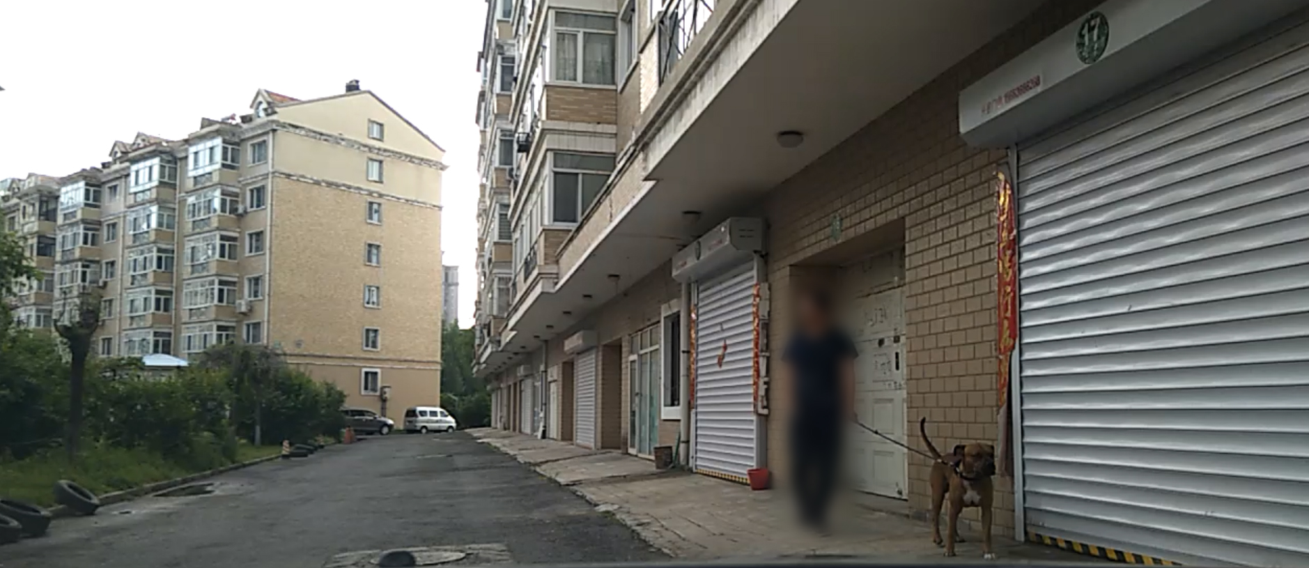 被小区不拴绳子的狗吓到了怎么办,孩子在小区内被未牵绳的狗追咬