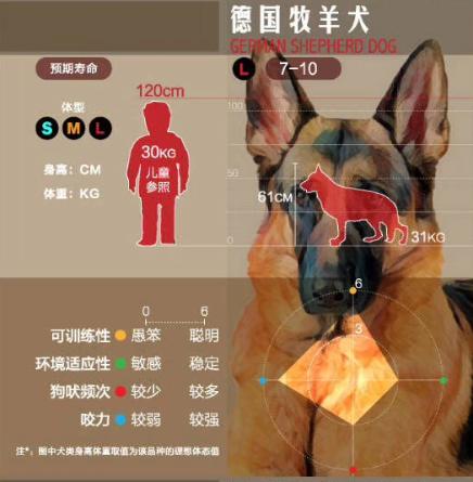 狗狗大讲堂,狗狗们上课去学校