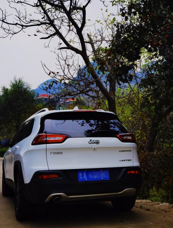 自由光全系车型,自由光2.0l驾驶感受