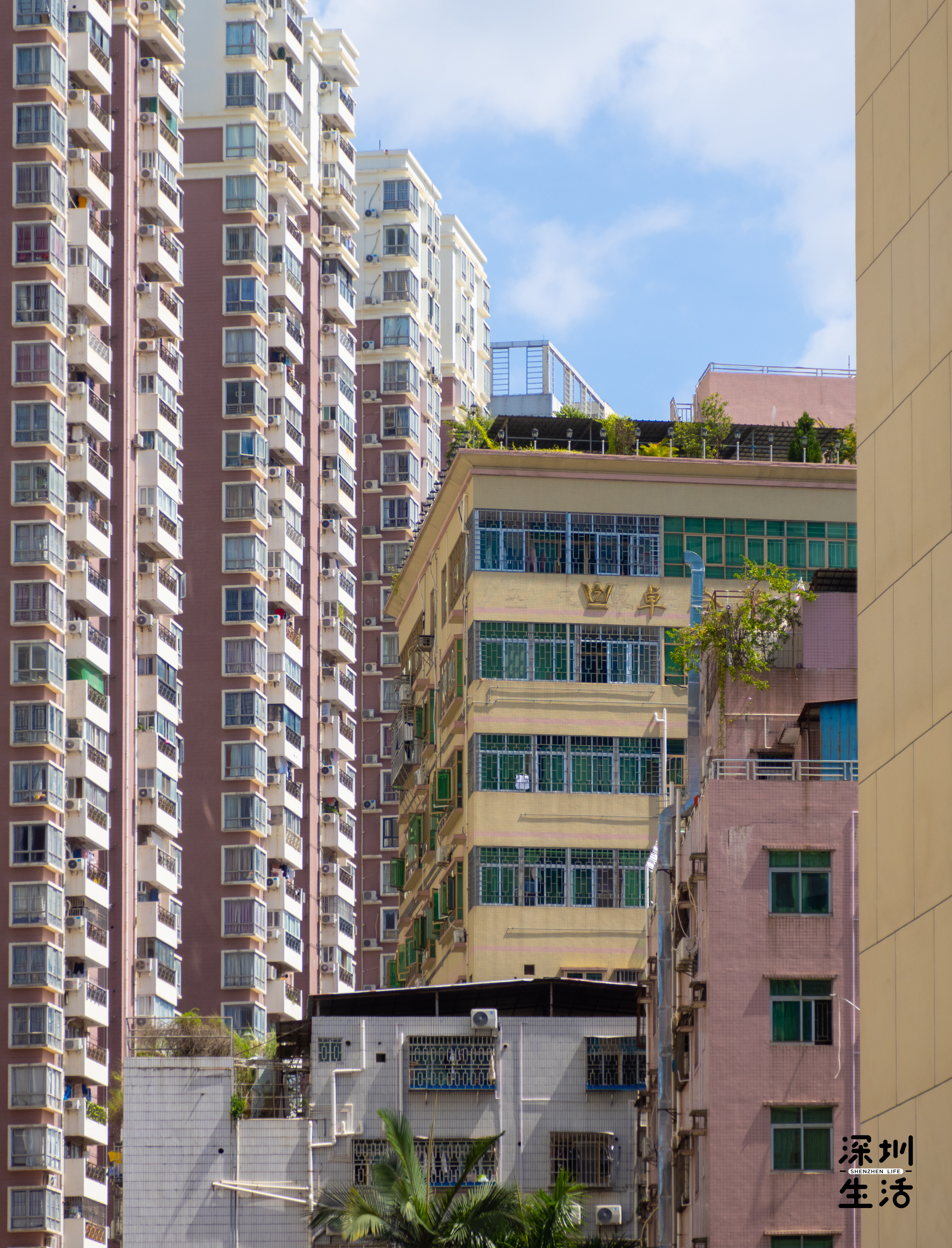 深圳岗厦村居住人口,深圳岗厦村多少人口