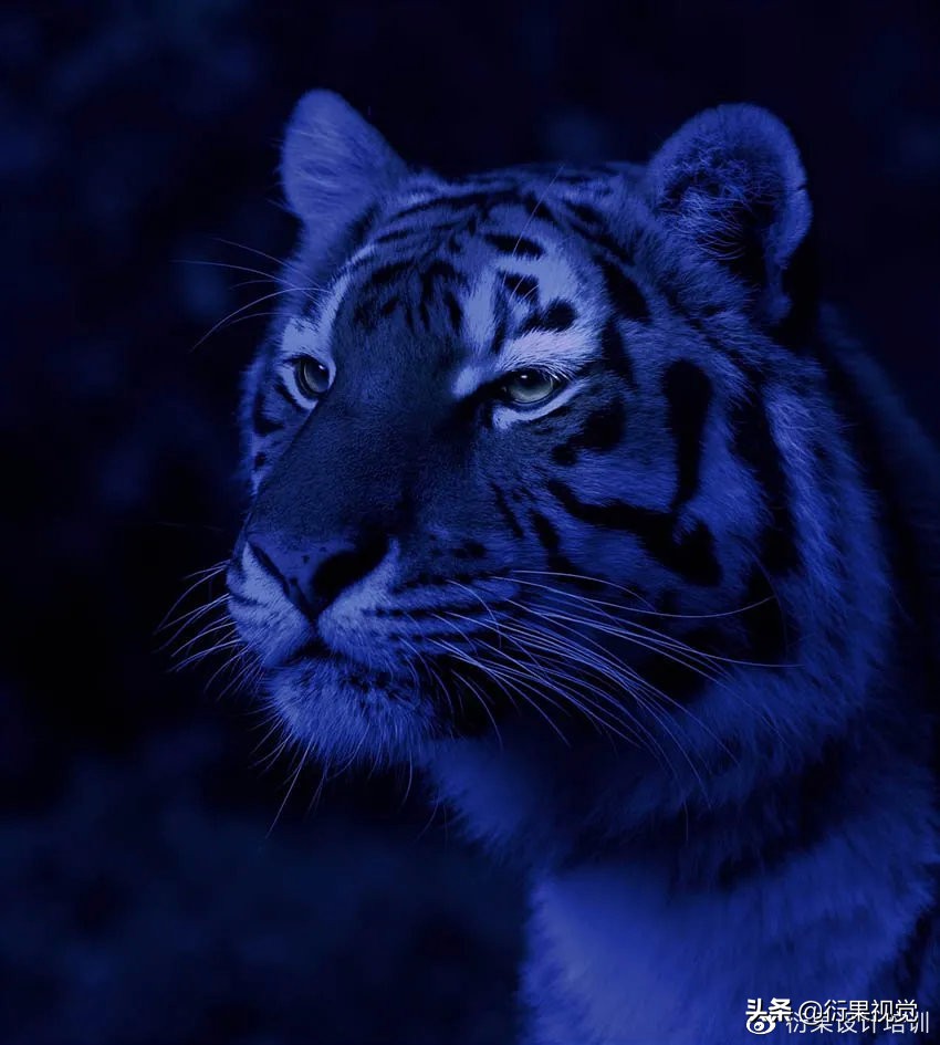 ps发光logo制作教程,ps软件教程制作发光特效