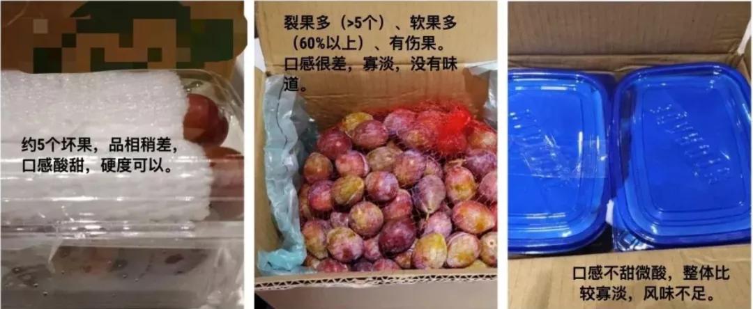 智利野生车厘子好吃吗,智利车厘子哪种好吃又划算