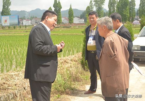 村里胡搅蛮缠的人怎么对付,碰到强势的村干部怎么沟通