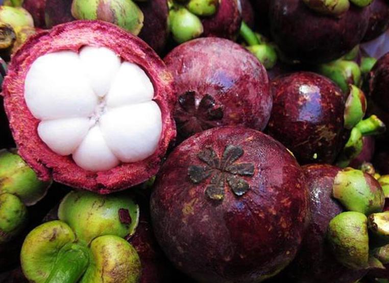 如何挑好的山竹不白吃,山竹挑选小技巧学会了个个都新鲜