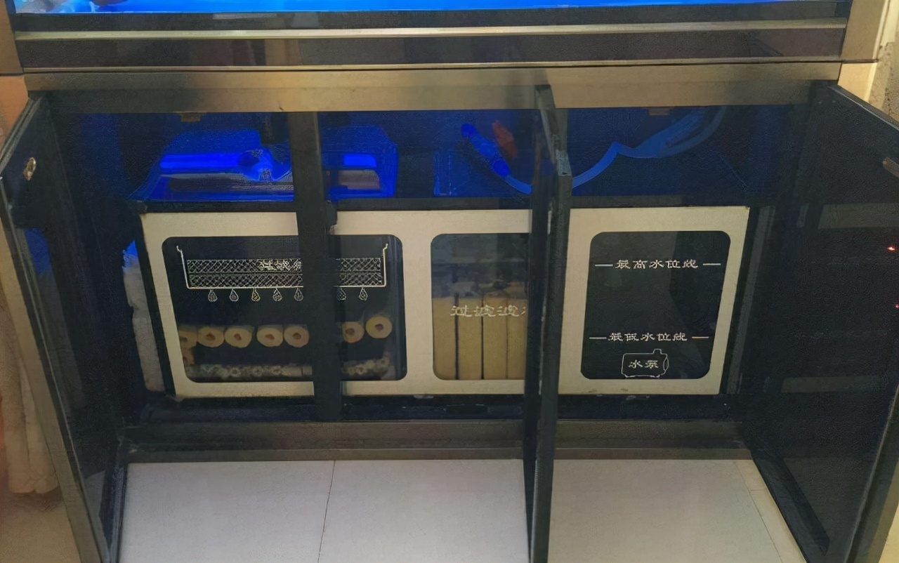 水族入门,养鱼新手入门过滤器推荐