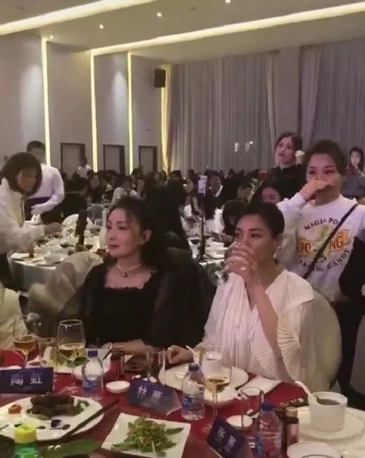 张庭林瑞阳陶虹目前的状况,张庭林瑞阳对陶虹做了什么