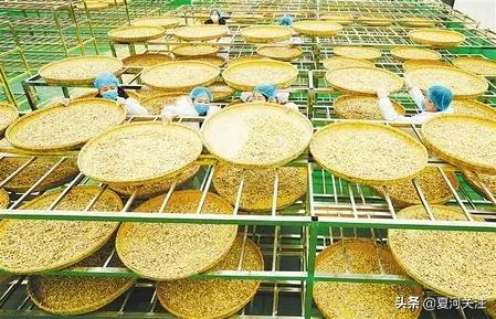 吹响决战决胜脱贫攻坚的号角,书写新时代的新答卷