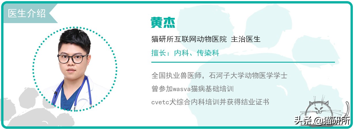 猫咪呕吐的原因及处理方法,猫咪呕吐不吃猫粮是什么原因