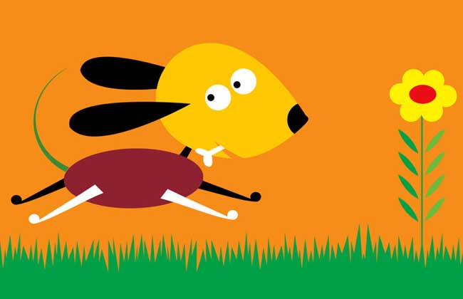 十二生肖最佳婚姻配对视频,十二生肖最佳婚姻配对表