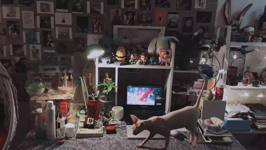 NOV007|饲养员@冯早早