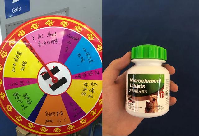 亚宠展2019西安展,亚宠展的收获