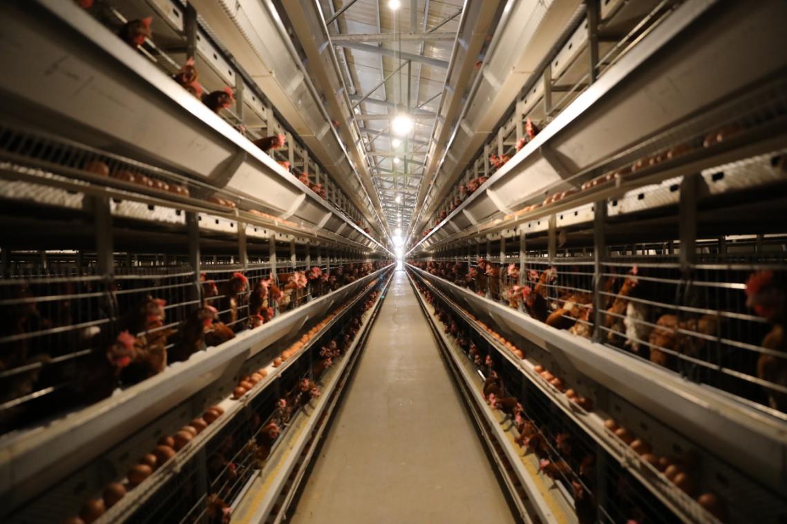 舌尖上的赤峰篇,舌尖上的赤峰美食篇