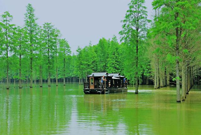 魅力家乡秀,湖北乡愁仙桃