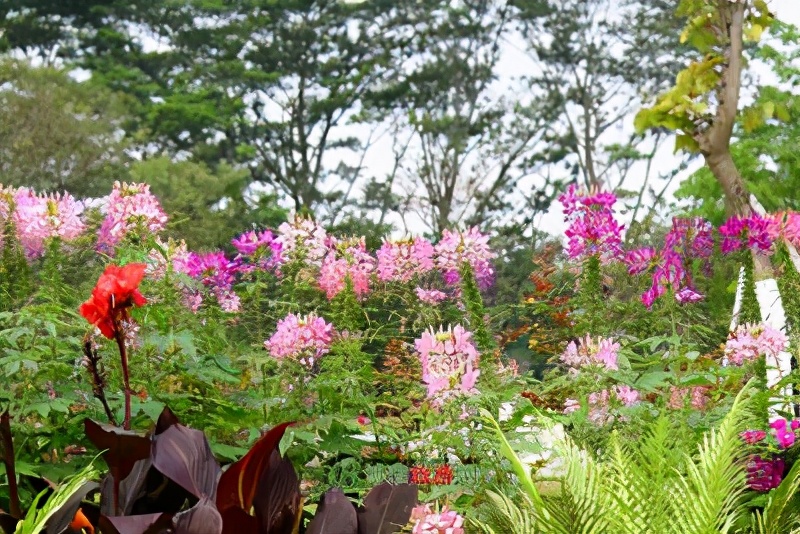 丽水旅游攻略自助游推荐,丽水市旅游攻略一天游