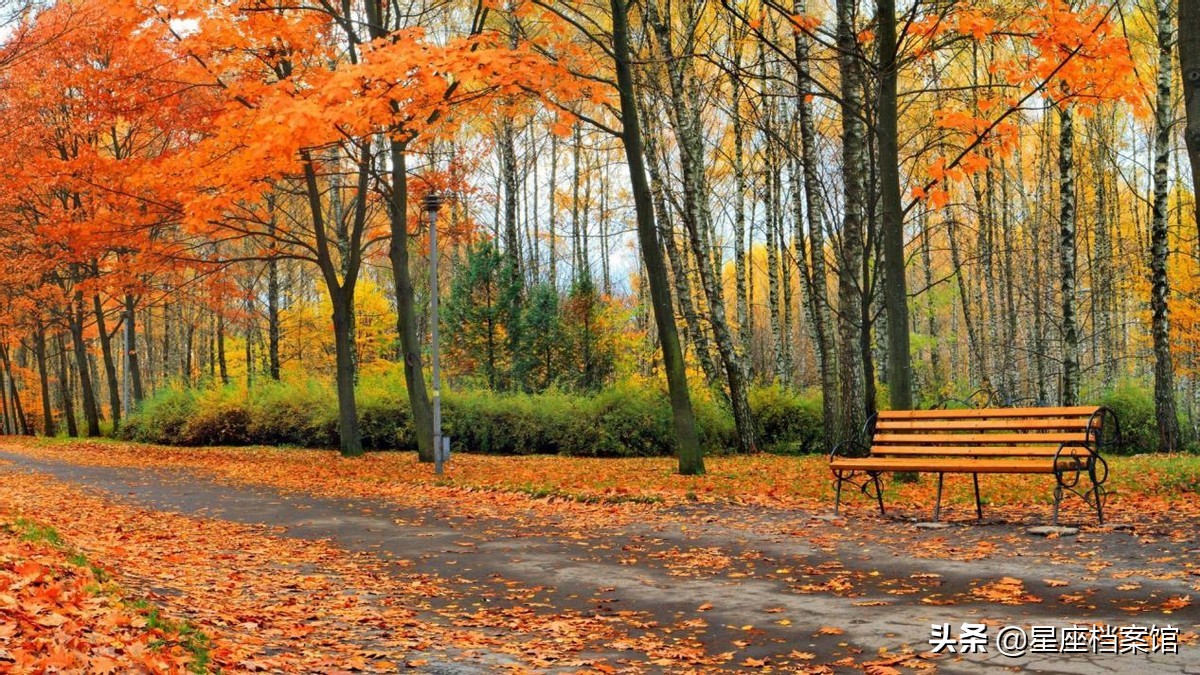 性格强势绝对不好惹的三个星座女,这些星座女野得很又撩人又不好惹