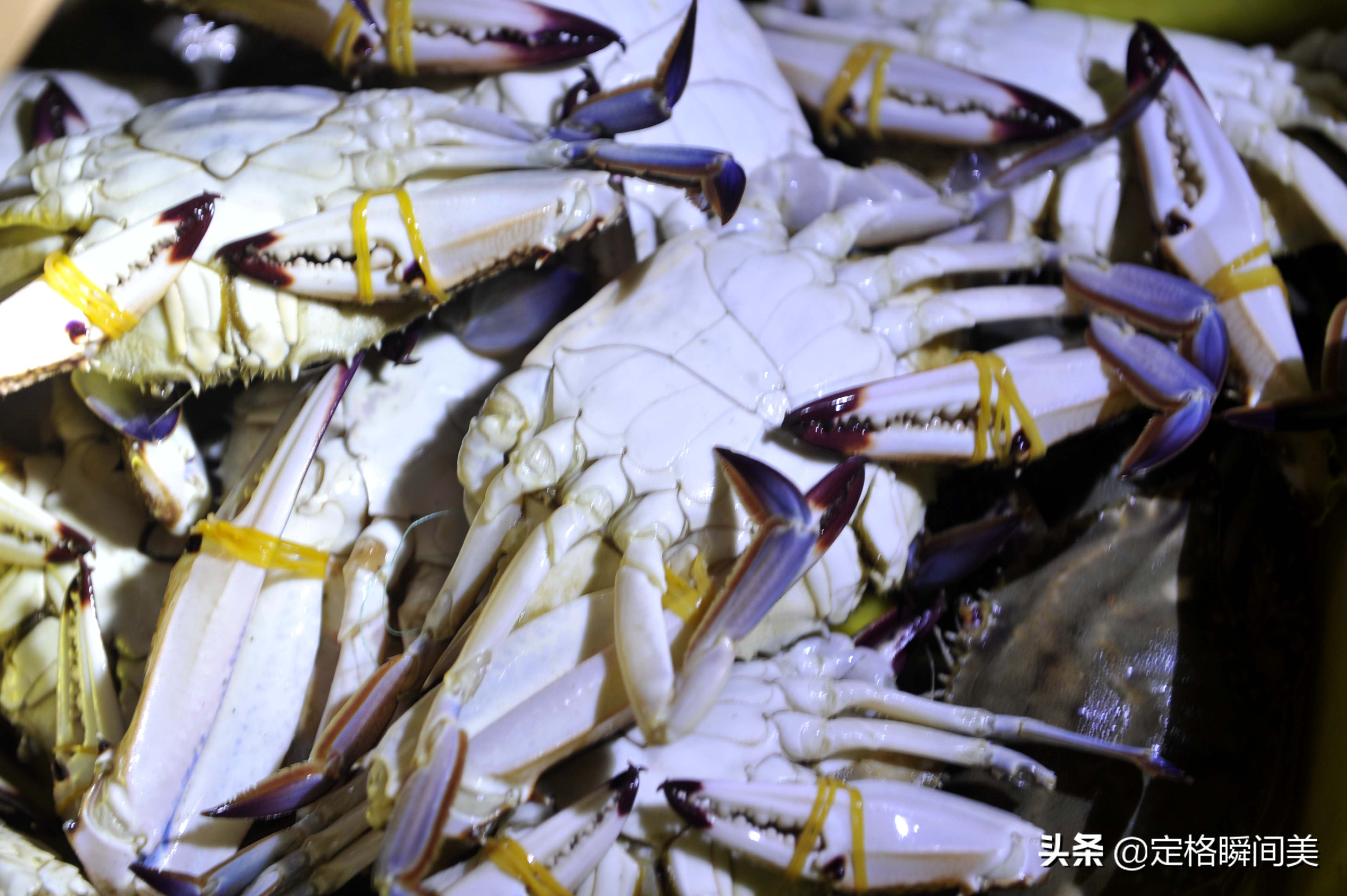 青岛捡漏,夜探青岛最新视频