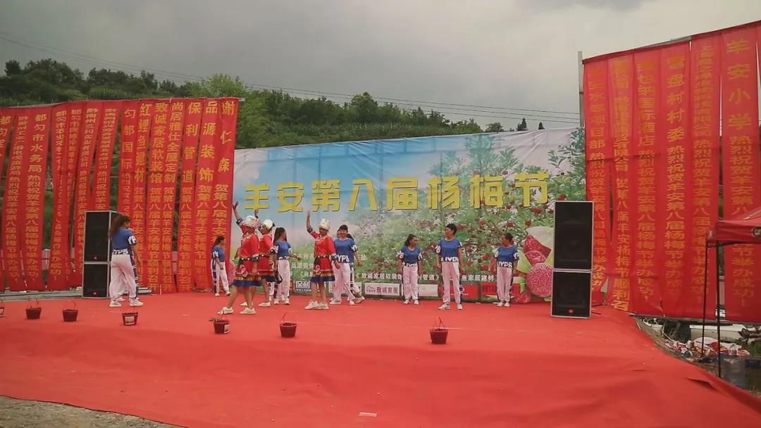 羊安杨梅节直播,羊安杨梅采摘