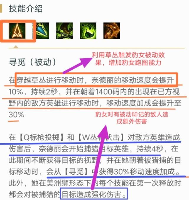 lol豹女有多厉害,lol增强与削弱