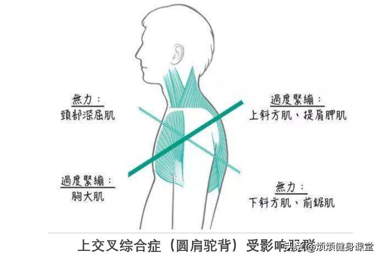 智商税你被这些减肥产品坑过吗,减肥瘦身产品是不是智商税