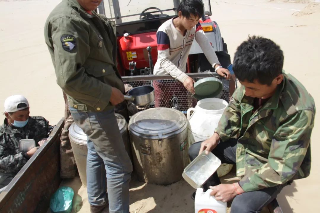 沙漠种植致富经验,沙漠变良田投资4万亿