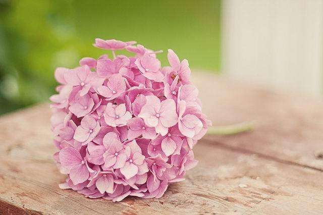 家长不能对孩子说的十句话,家长不能对孩子说的10句话动画