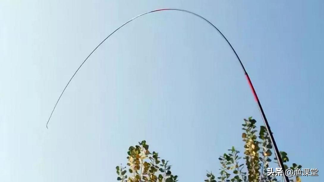 特别难钓的鱼应该怎么钓,野钓轻口鱼怎么处理