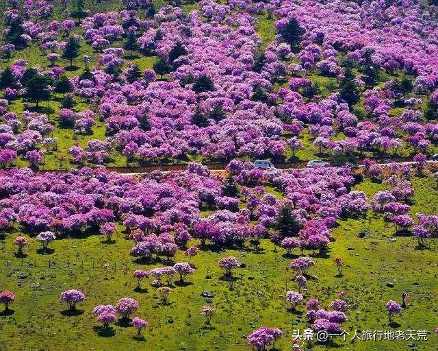 海螺沟温泉瑶池和贡嘎神汤哪家好,海螺沟天域瑶池温泉最新