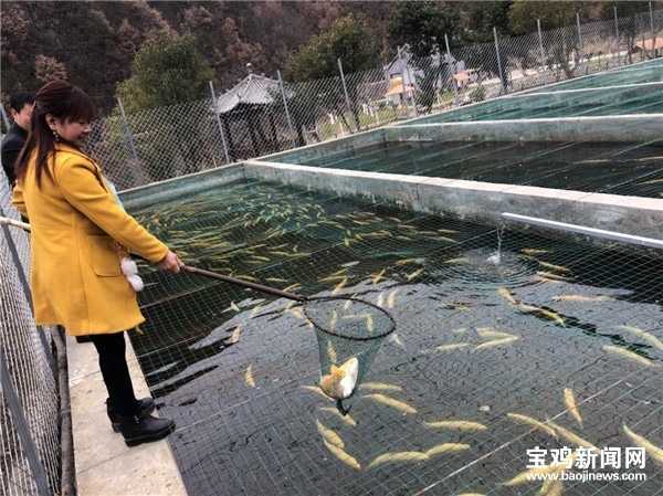 太白：农闲时节闲不住喜笑颜开致富忙