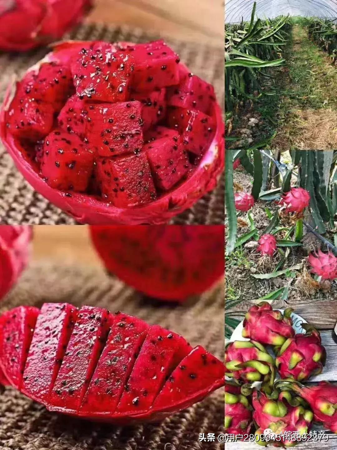 皖西农家土特产,皖西特产有哪些