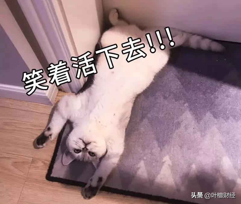 不能错过分析师深刻反思我为什么错过了这家好公司？|檀公司