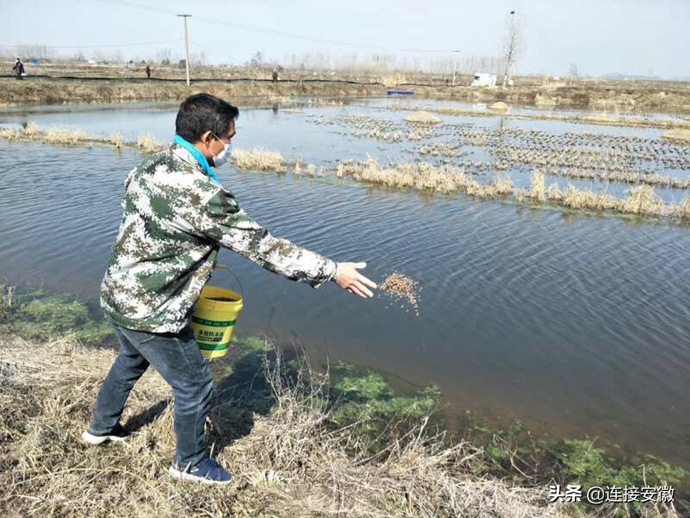 疫情期间邻里守望相助患难见真情,邻里守望温暖人心