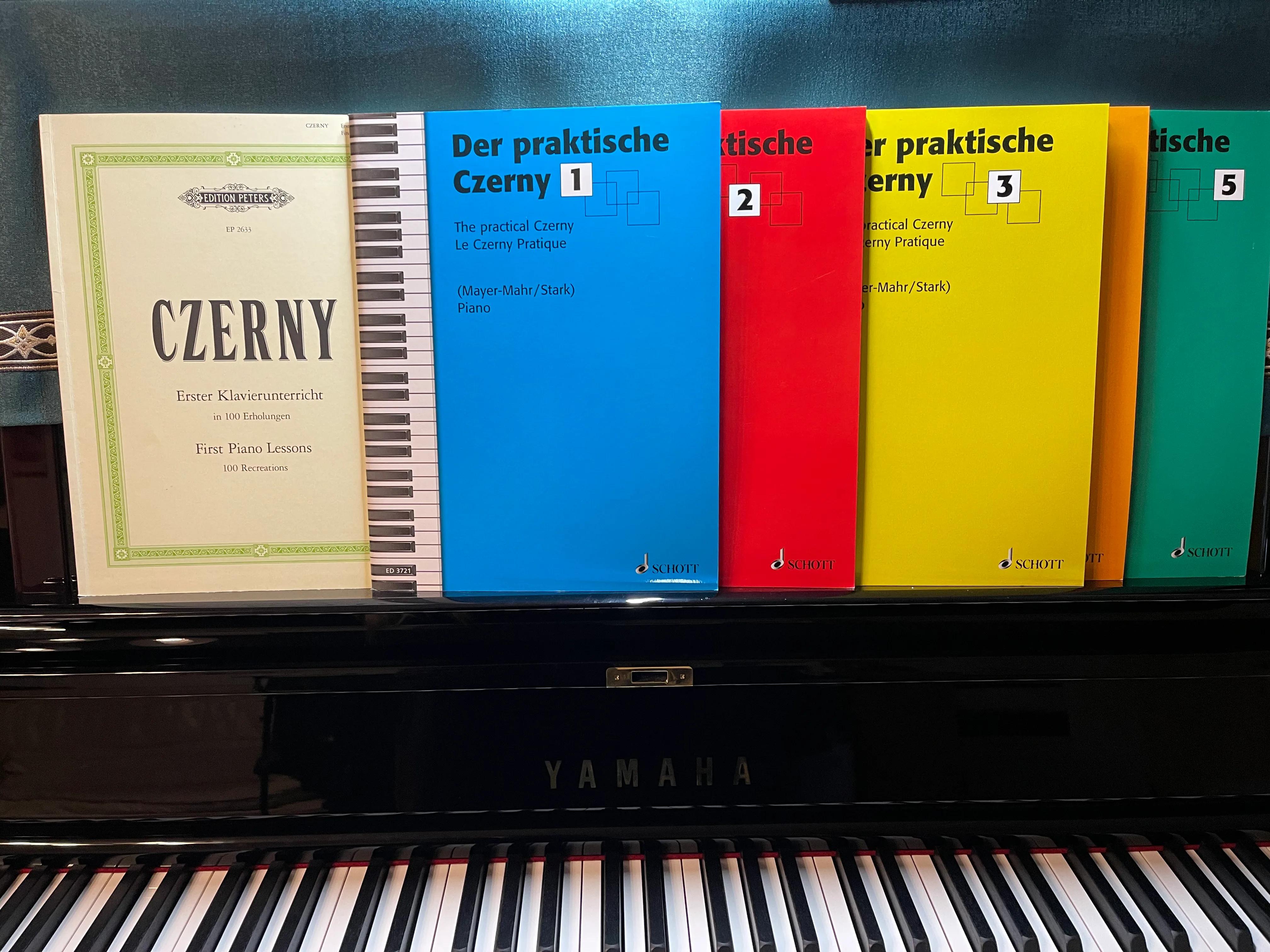 钢琴大师必备技巧有哪些,钢琴基本功最好的大师