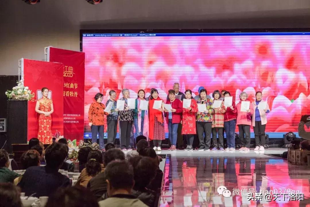 我的旅行社,厉害了我的旅游团