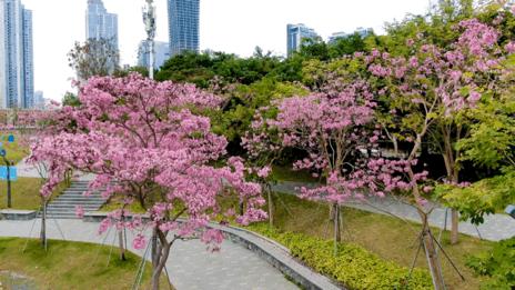 面朝大海春暖花开旅游景点,面朝大海春暖花开游玩