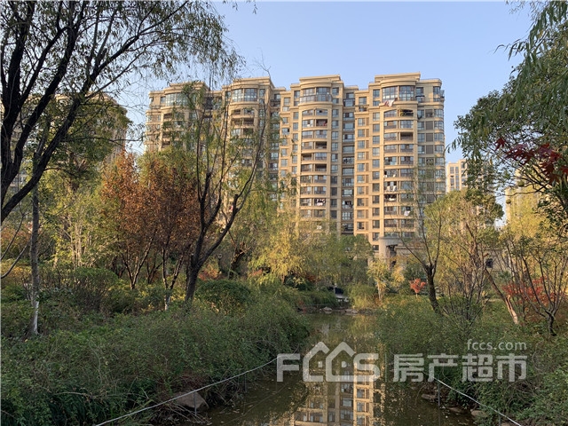 西区哪个小区房价便宜点,西区的房子贵吗