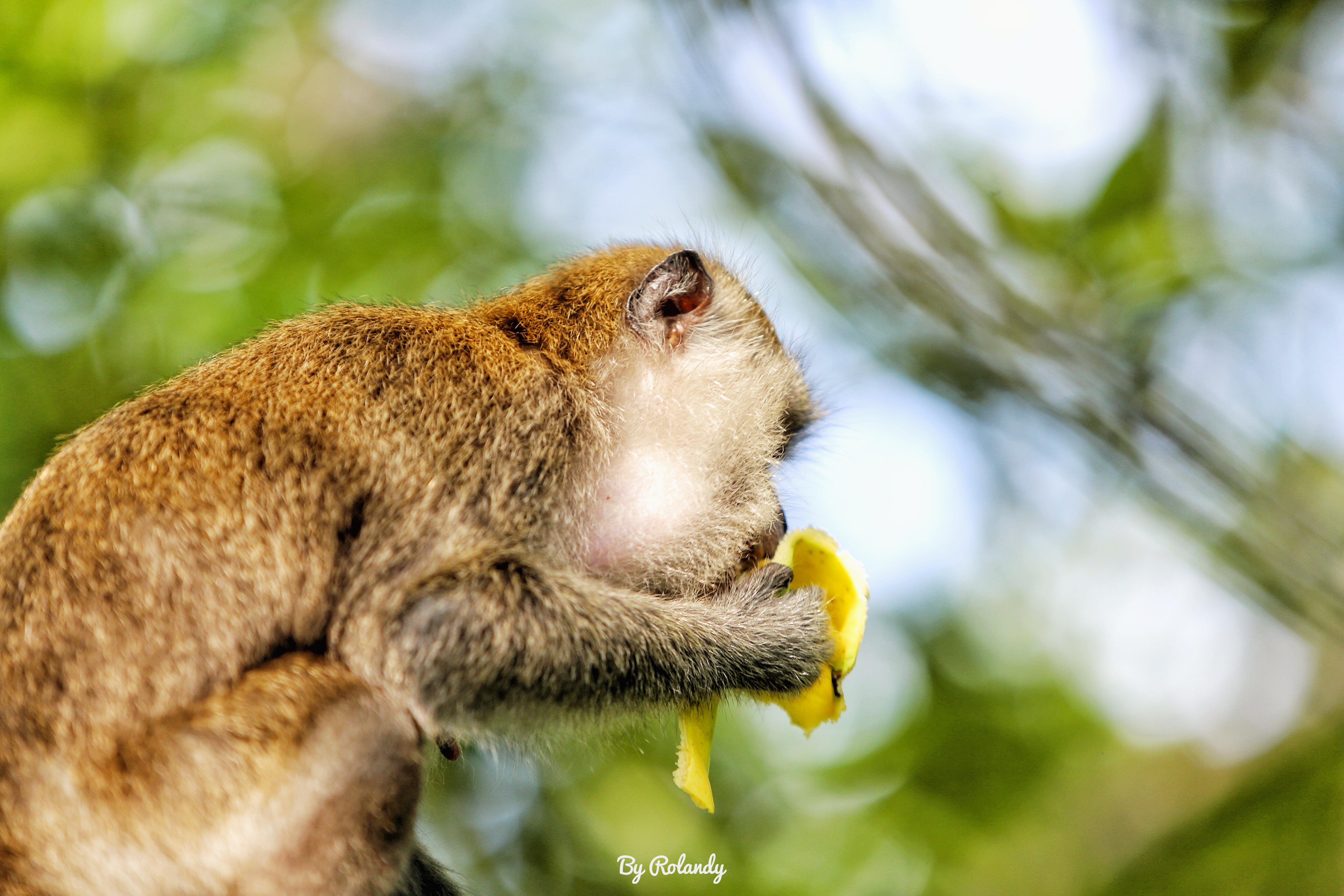 民丹岛最佳旅游季节,民丹岛旅游价格