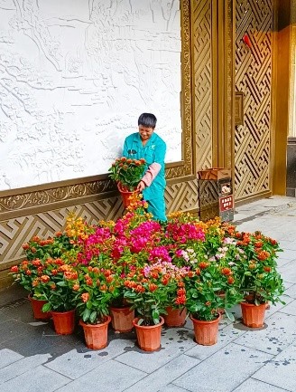 龙光服务物业公司,龙光服务南宁分公司