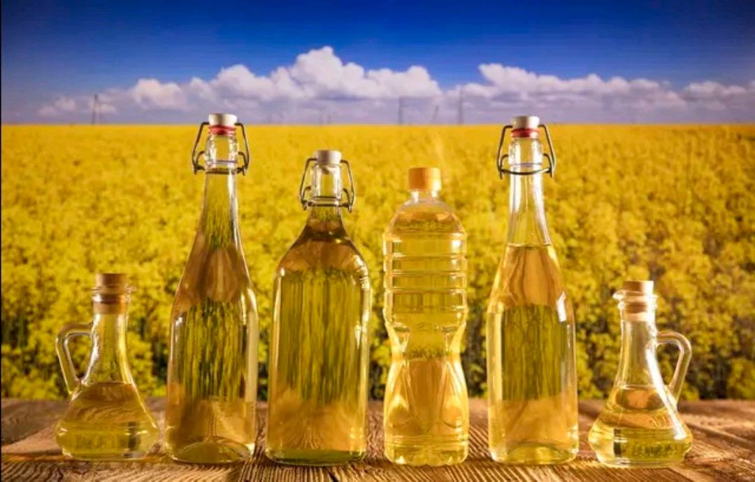 专家点评十大健康菜籽油排名榜,菜籽油是最健康的油吗