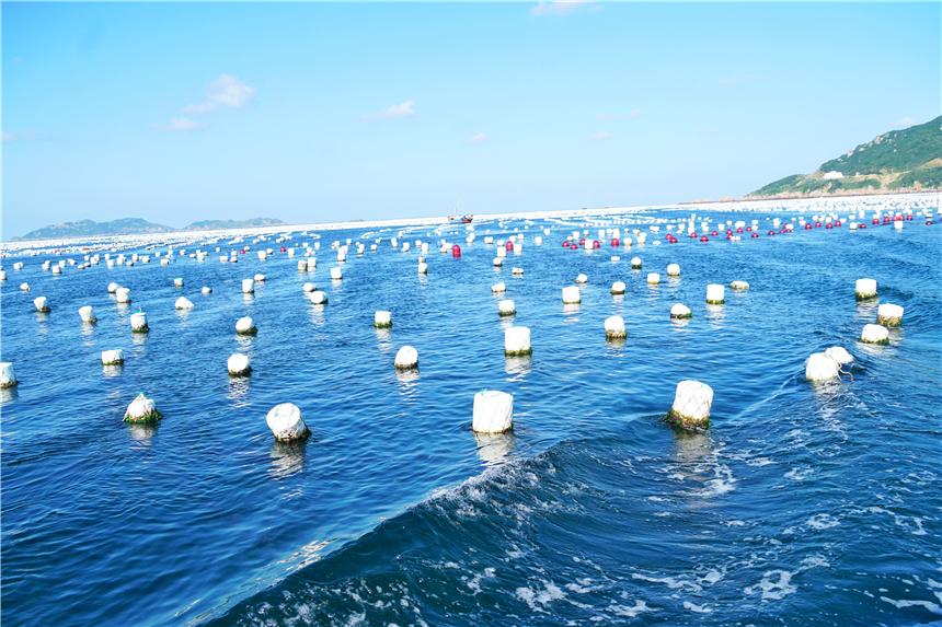 嵊泗美食推荐攻略,嵊泗列岛旅游攻略美食