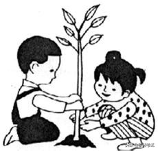 三年级看图写话教学视频,三年级看图写话