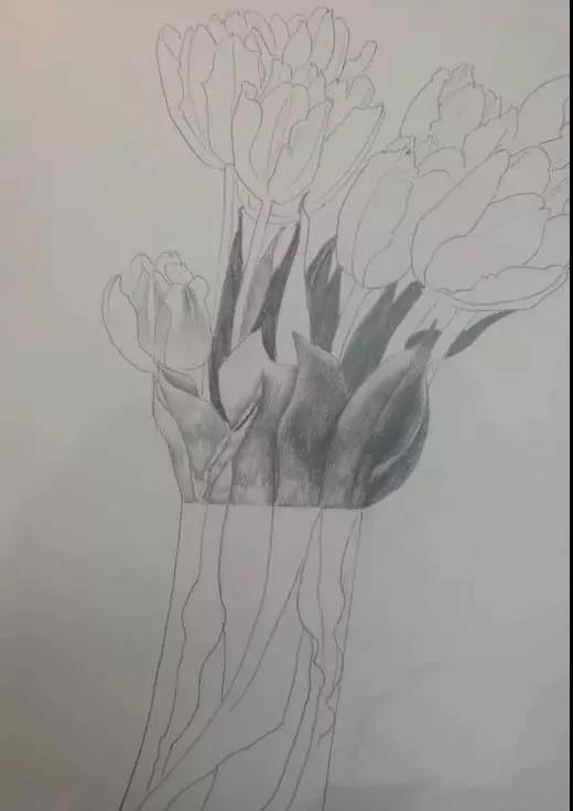 名家大师画白菜,画家笔下的工笔画白菜