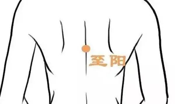 激活7个“生阳点”，源源不断升发阳气