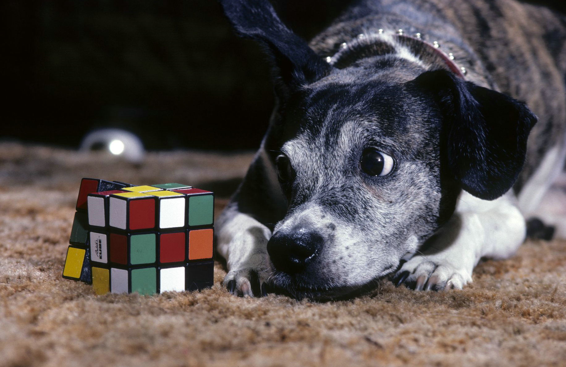 三阶魔方奇妙图形,三阶魔方神奇公式教程