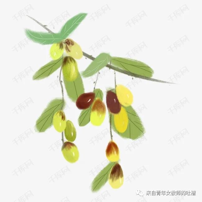 “枣”已不是童年