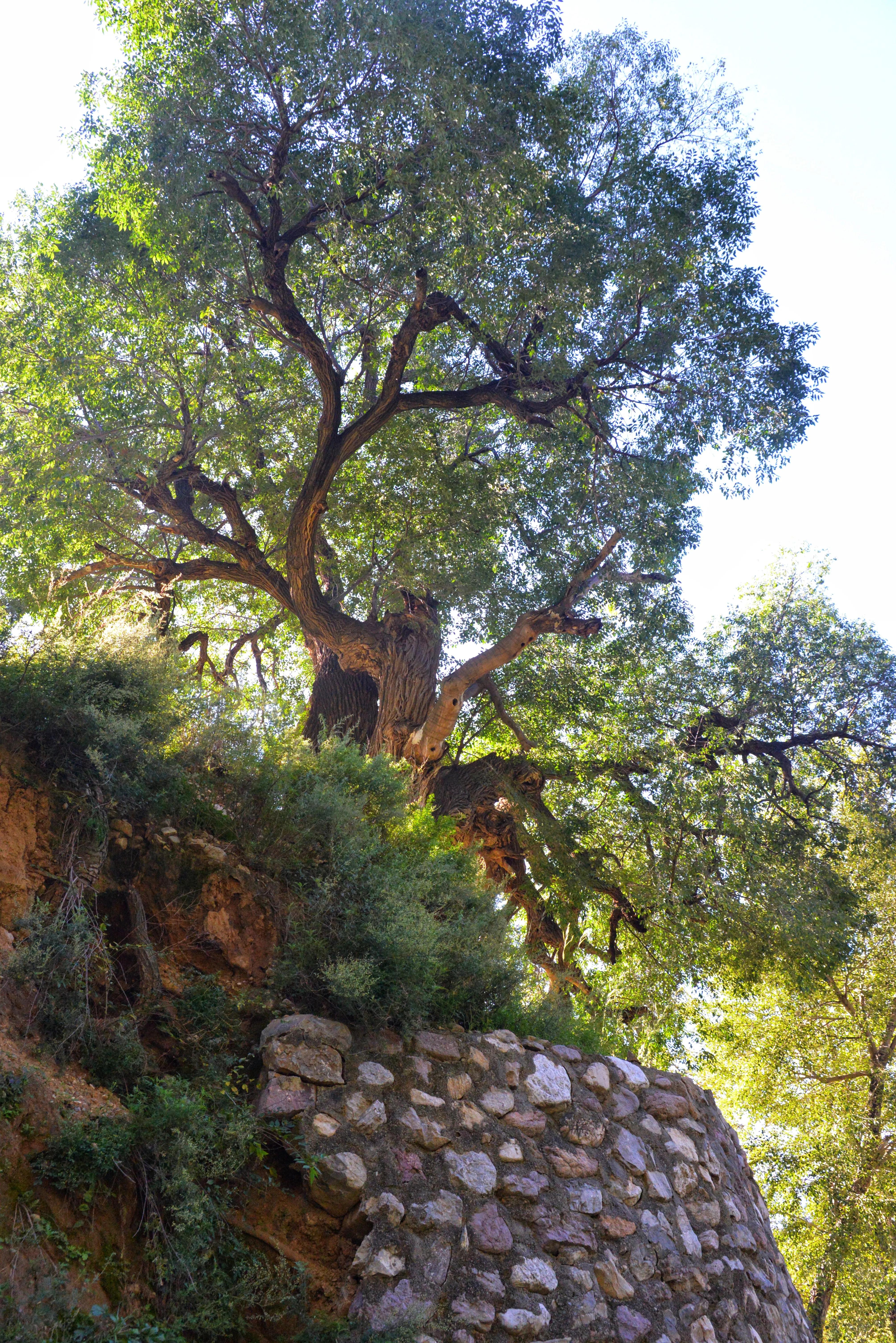 150001邮政编码哪里的,邮政编码100001是哪里的